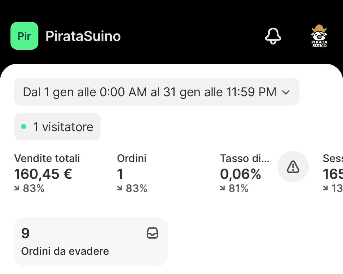 Pannello Shopify di Pirata Suino a gennaio: 178€ incassati in un mese